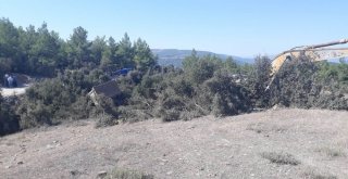 Denizlide Trafik Kazası: 1 Ölü
