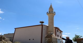 Biri Camiyi Diğeri İse Kiliseyi Mesken Tuttu