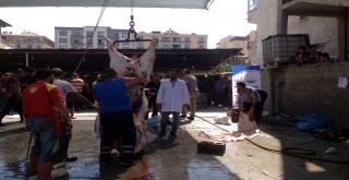 Kurban Kesim Alanları Denetlendi