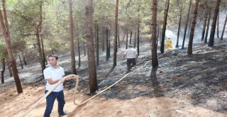 Ormanlık Alan İki Haftada 10 Defa Yandı