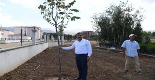 Başkan Asya, Göletli Parkta İncelemelerde Bulundu