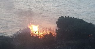 Bandırmada Makilik Alanda Yangın