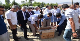 Kozlukta 45 Çiftçiye Çilek Fidesi Dağıtıldı