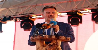 Bursada Uluslararası Zeytin Festivali Coşkusu