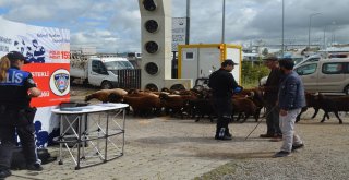 Ardahanda Kurban Bayramı Öncesi Sahte Para Uyarısı
