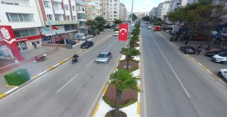 Balıkesirde Refüjler Çiçek Açtı