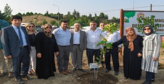 15 Temmuz Demokrasi Şehitleri Hatıra Ormanına Fidan Dikildi