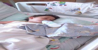 21 Aylık Aras İhmal Kurbanı Olacaktı
