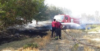 Bahçe Yangınında Bir Çok Ağaç Zarar Gördü