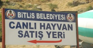 Ustaoğlu: “Paralar, Bu Millete Hizmet Olarak Dönüyor”