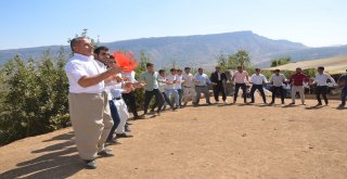 Balkaya Dağlarında Renkli Düğün