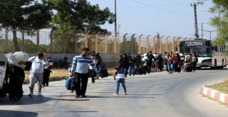 Bayram İçin Ülkesine Giden 3 Bin Suriyeli Döndü