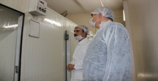 Erzurumda Son Bir Yılda 10 Bin 350 Gıda Denetimi Yapıldı