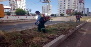 Yenişehirde Temizlik Seferberliği Devam Ediyor