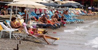 Kasırga Bodrumu Teğet Geçti, Güneşi Gören Denize Koştu