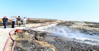 Çiğlide Seferberlik