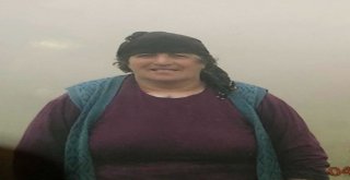 Trabzonda Herkes Seferber Oldu Onları Arıyor