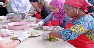 Yabancı Öğrenciler Busmekte