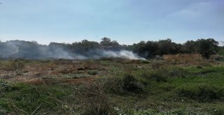 Milasta Makilik Yangını