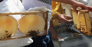 Siirtte Yılın İlk Balı Toplandı