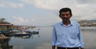 Giresunlu Balıkçılar, 1 Eylüle Hazır