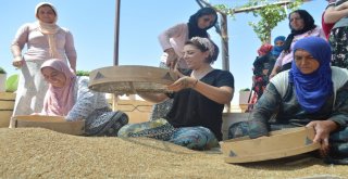 Mardinli Şef Dünya Sıralamasında