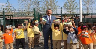 Turhalda 4 Ekim Dünya Hayvanları Koruma Günü Sevgiyle Kutlandı