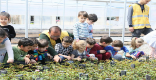 Çocuklardan Büyükşehir Fidanlığına Ziyaret