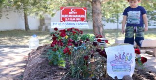 Şehit Annenin Mezarına Doğum Günü Ziyareti