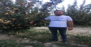 Erikten Sonra Karpuz Ve Şeftali De Dış Pazarda