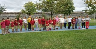 Kartepeli Miniklerin Hayvan Sevgisi