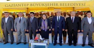 Büyükşehirin Çiftçilere Desteği Sürüyor