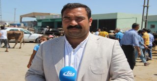 Hayvan Pazarında Arefe Yoğunluğu