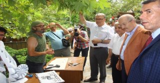 Aeneas İle Troiadan Antandrosa 2018 Troia Yılı Etkinlikleri Başladı