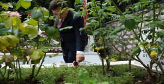 Bursada Şehitlikte Anma Töreni Düzenlendi