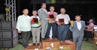 Buldan En İyi Üzümünü Seçti