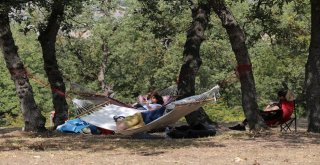 Bu Festival Bursayı Sallayacak