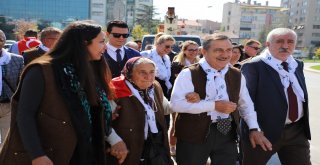 Şehrin Ortasındaki Koyunlar Görenleri Şaşkına Çevirdi