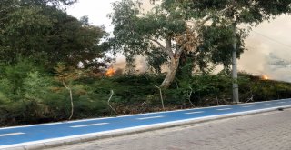 Kuş Cennetinde Korkutan Yangın