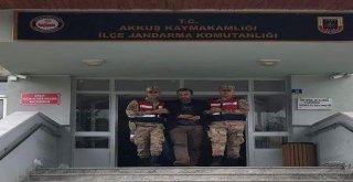 Seri Katil Trabzona Nakledildi