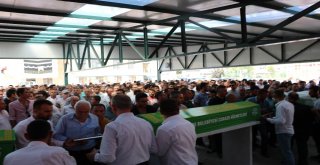 Beraber Doğdular, Beraber Yaşadılar, Beraber Öldüler