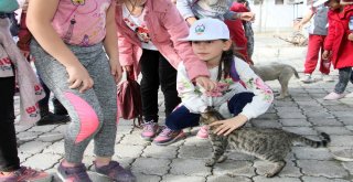 Miniklerden Hayvan Bakımevine Ziyaret