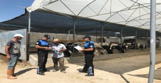 Toplum Destekli Polis Ekipleri, Dolandırıcılara Karşı Kurban Mesaisinde