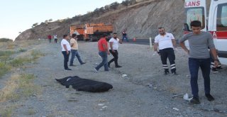 Çekici İle Çarpışan Otomobil Hurdaya Döndü: 1 Ölü, 1 Yaralı