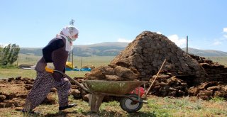 (Özel Haber) Kırsalda Tezek Geleneği