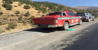 Beytüşşebapta Orman Yangını