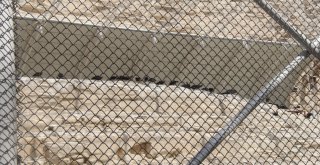 Kelaynaklar İçin Fırat Ve Dicle Havzasında Yeni Yaşam Alanları