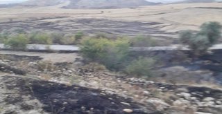 Sungurluda Arazi Yangını