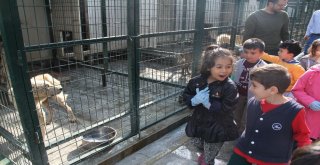 Çorumda Dünya Hayvanları Koruma Günü Etkinlikleri