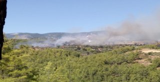 Manavgatta 3 Hektar Tarım Arazisi Ve Atıl Durumdaki Bir Ev Yandı